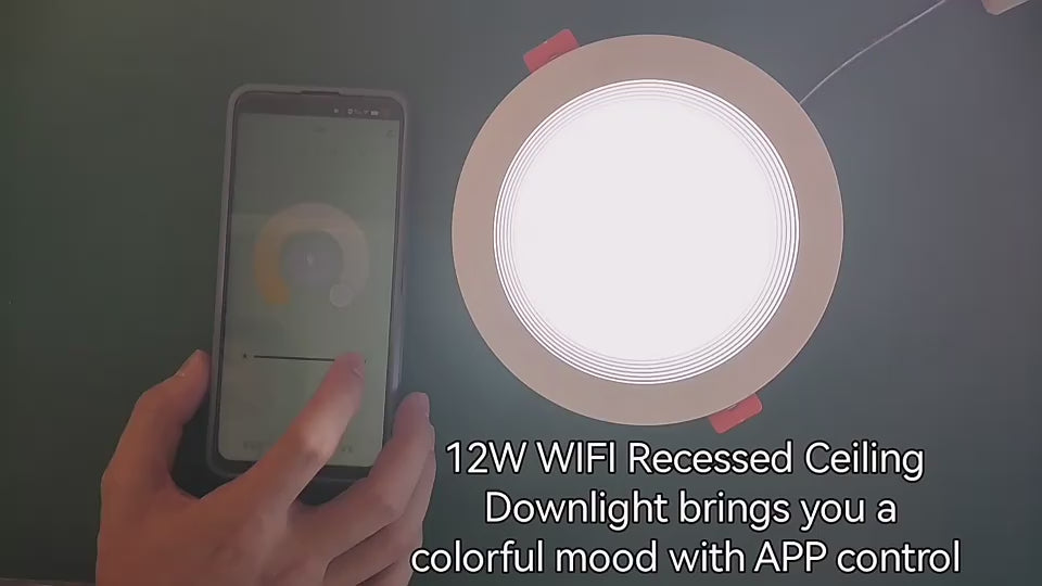 Led Recessed Down Light RGB Dimmable With Smart Control